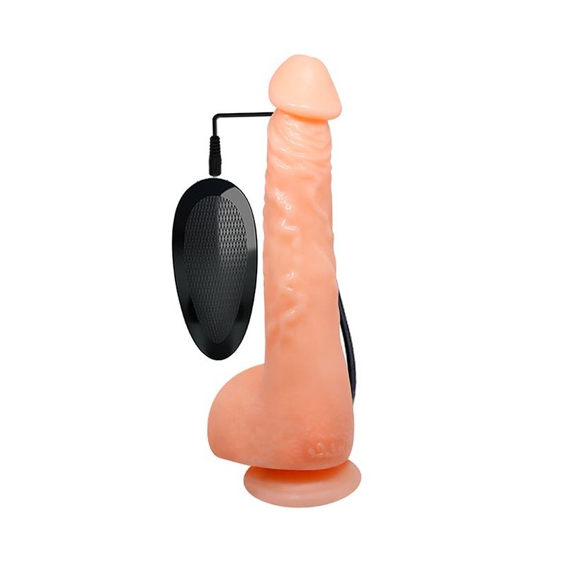 Penis realistyczny jądra przyssawka pilot 24cm